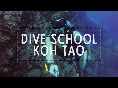 Big Blue Dive school, Koh Tao