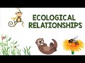 Ecological Relationships and Their Impact on Ecosystems