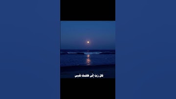 قَالَ رَبِّ إِنِّي ظَلَمْتُ نَفْسِي||تلاوة خاشعة بصوت الشيخ محمد صديق المنشاوي🌿💗