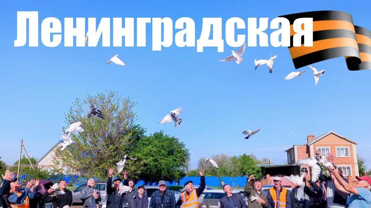 Птичий рынок. Ленинградская. [11.05.2025]