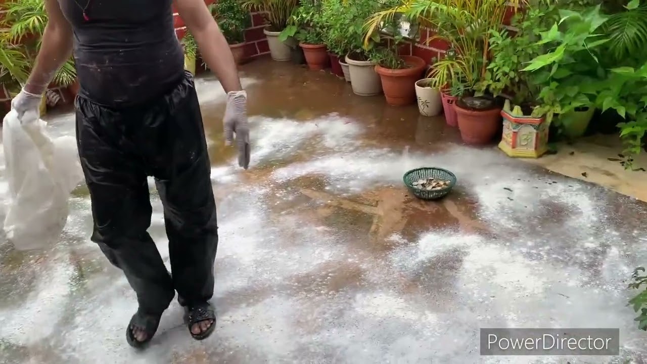 Terrace moss cleaning bleaching powder #