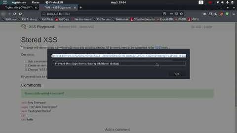 Cross-site Scripting | OWASP Top 10 | Day 7