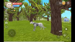 Who player chat that?! | Sugar1 screenshot 5