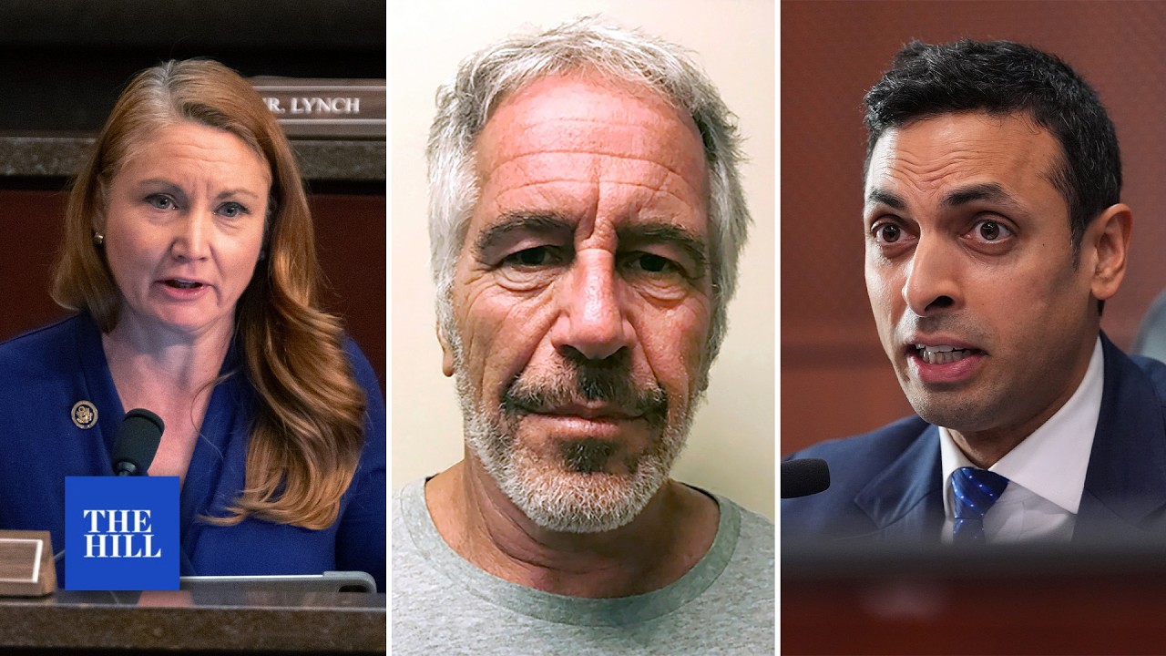 Rep. Subramanyam: 'I do believe [Epstein] did commit suicide'