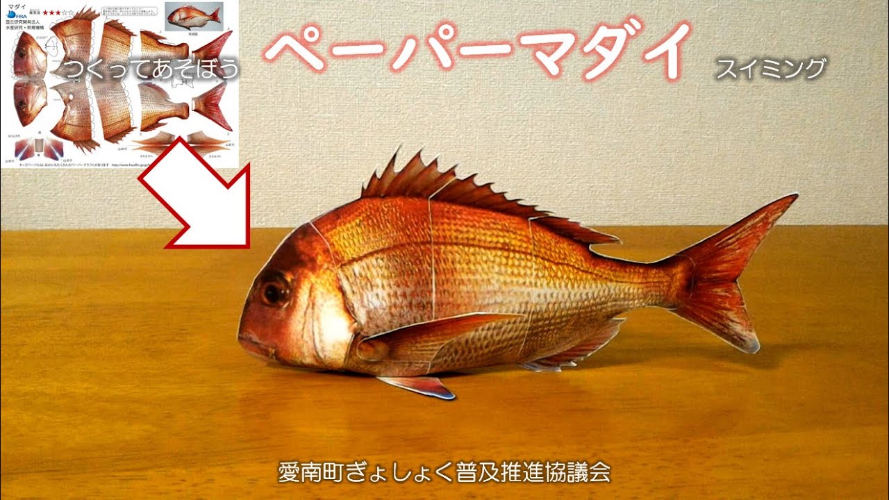 ペーパーマダイ スイミング つくってあそぼう（自由研究