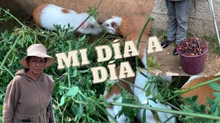 MI DÍA A DÍA - Doña Gladys