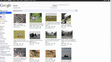 Advanced Google Image Search