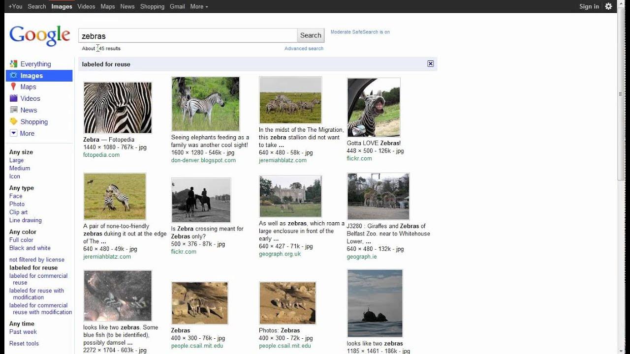 Advanced Google Image Search Web Images