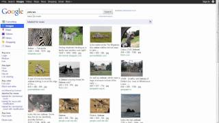 Advanced Google Image Search screenshot 4