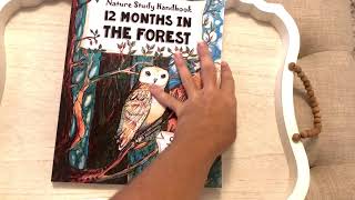 12 months in The Forest Fun Schooling Journal flip through video by the Thinking Tree