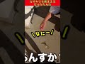 "カマキリを捕まえるひゅうが&times;きりちゃん" 会話が可愛すぎる💕 #赤組 #コムドット切り抜き #コムドット #ひゅうが #きりたんぽ #ひゅがたんぽ #shorts