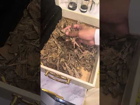 عود كلمنتان بونتيانك الدرجه سوبر مرتفع ممتاز جدا للاستخدام الشخصي او الاهداء عود يجمل ويبيض الوجه