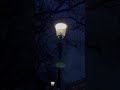 雪の日にフォティーフ教会見つけた！I found Votive Church in a snowy day! Votivkirche Wien. #church #lamp #snow #travel
