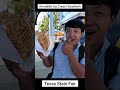 Trying the DEEP FRIED "Armadillo Ice Cream Sandwich" 🦔🍦 at Texas State Fair! #shorts