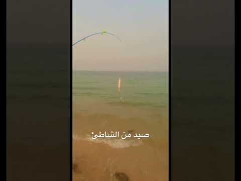 صيد سمك من الشاطئ في سيلين في بحر قطر          