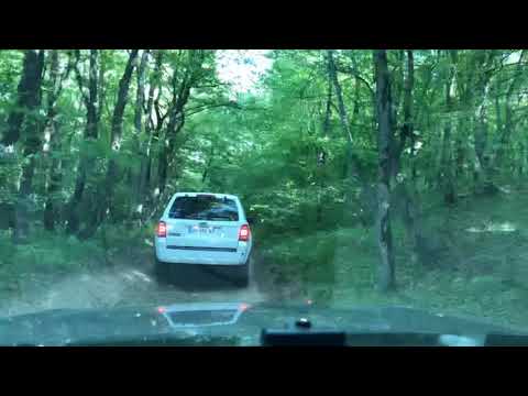 17.05.20 ფინიში