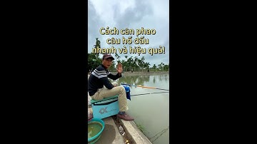Cách cân phao câu hố đấu nhanh và hiệu quả.