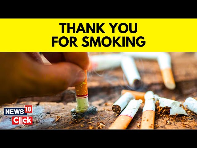 zanzibar clove cigarettes Amazon.com: Djarum Black Bliss Clove Variety Pack