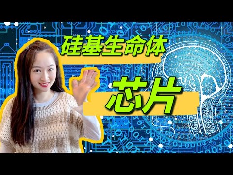 【芯片·硅基生命体】文科生来解释: 芯片是什么? 芯片是谁发明的? 芯片是怎么做出来的? 谁在制造芯片?
