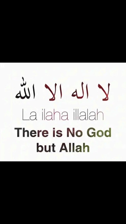 https://youtube.com/shorts/ht-4HhXw5K4?si=5o9XWLYDTJf7mlV3 #tareeqjamel #bayan