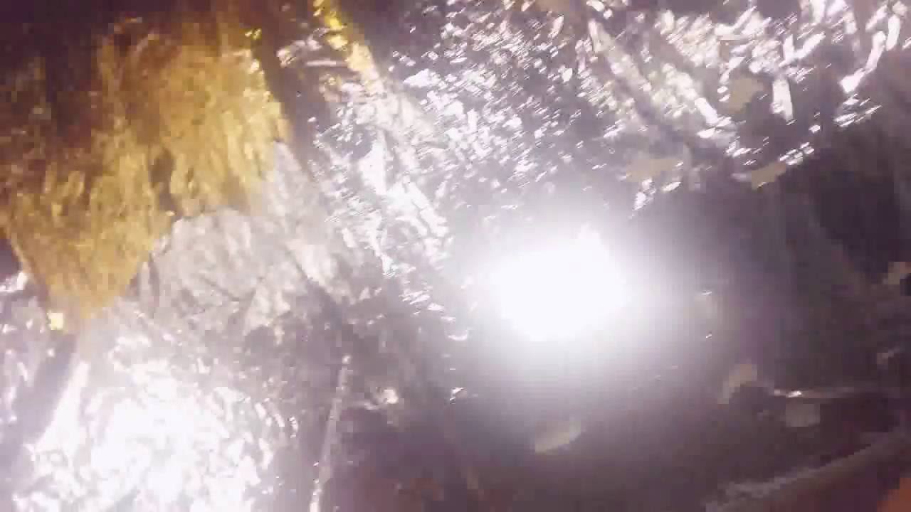 Estufa improvisada de cannabis