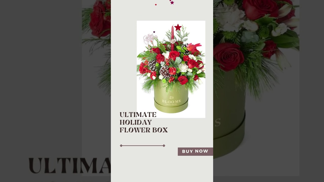 Toronto Blooms | Christmas Flowers | Gift Baskets 