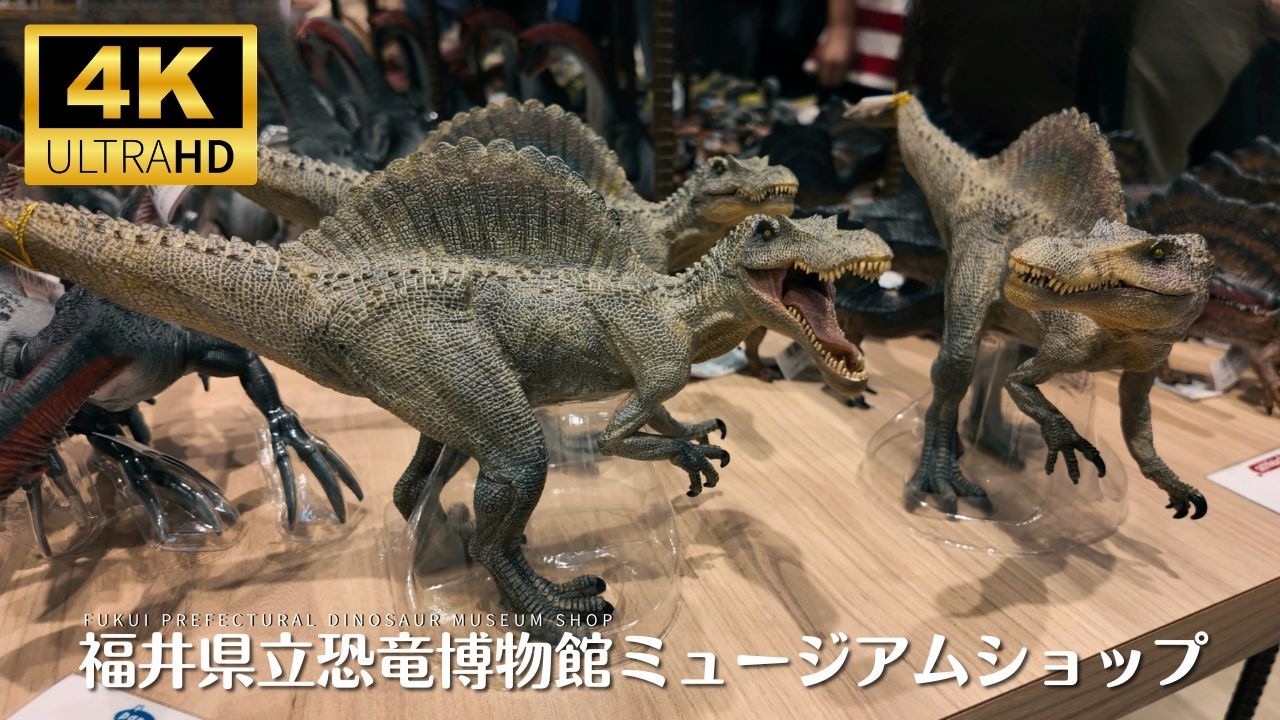 Every Item at Fukui Dinosaur Museum Shop 🦖 | Exclusive Dinosaur