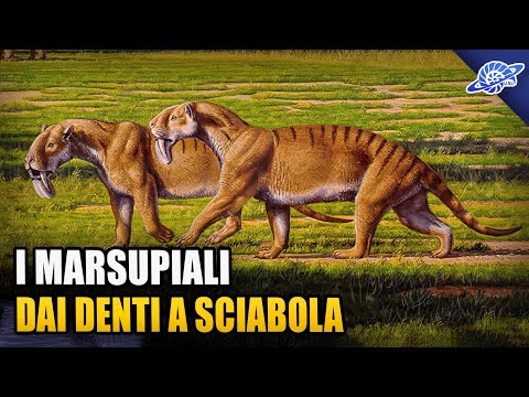 Video: Le Tigri Dai Denti A Sciabola Sono Vive: Prove Di Un Cacciatore Africano - Visualizzazione Alternativa