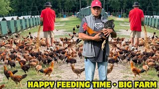 Happy Feeding Time Water Oak Farm Usa • Feeding Time Free Range Shape Chicken Coop Outdoor