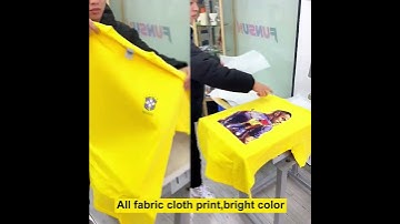 Only 0.2$ print cost for each garment! Funsun DTF Printer, New Fabric Printing Technology!