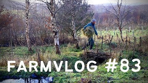 Our WATERWAYS are FLOWING! BUILDING A SIMPLE LOG BRIDGE | PERMACULTURE FARM & ORGANIC MARKET GARDEN