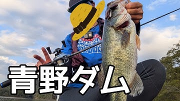 必見かも？青野ダム 秋の定番フリーリグで釣れない時は！