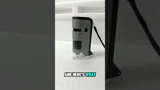 Celebrity Eggshell under Microscope #micro #microscope #microscopist #egg Wealth