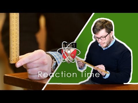 Reaction Time - Gcse Science Required Practical