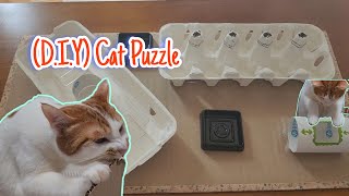 DIY) How to make a puzzle toy for my cat (+reaction)