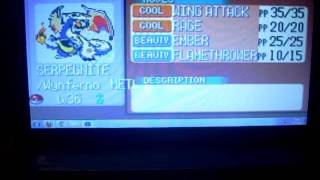 Pokemon Ruby Hacking Sprite Mistake.AVI