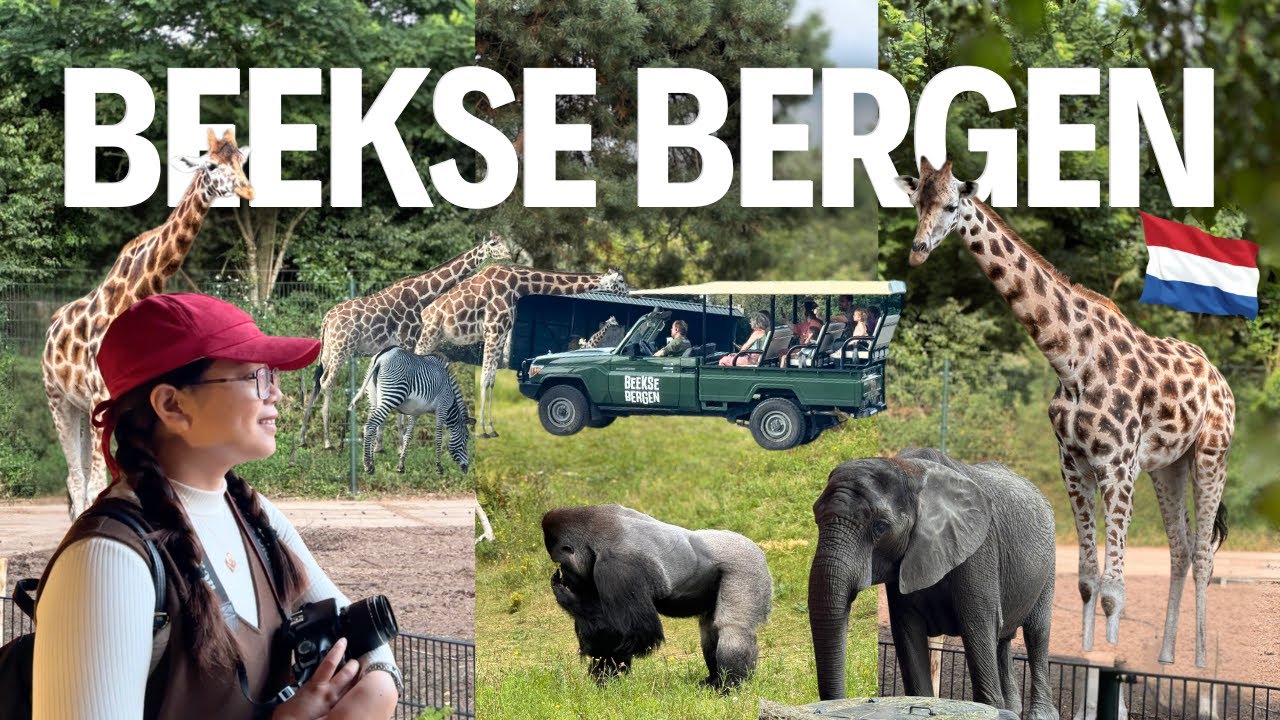A day in Beekse Bergen Safari Park | Netherlands