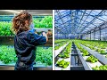 Most PROFITABLE Small Farm Ideas You NEED To Try!