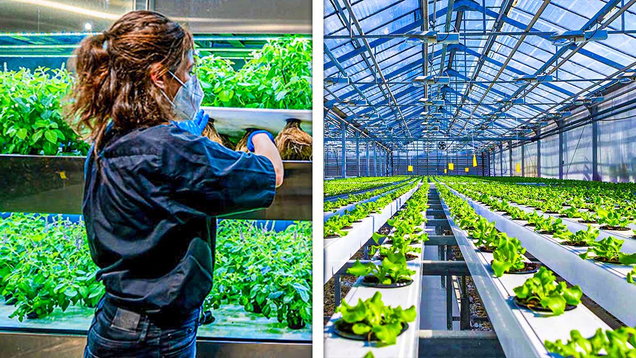Most PROFITABLE Small Farm Ideas You NEED To Try!