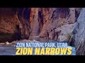 Zion Narrows | Walking Tour | Zion National Park | River Hike