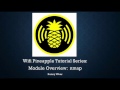 Wifi Pineapple Module Overview: nmap