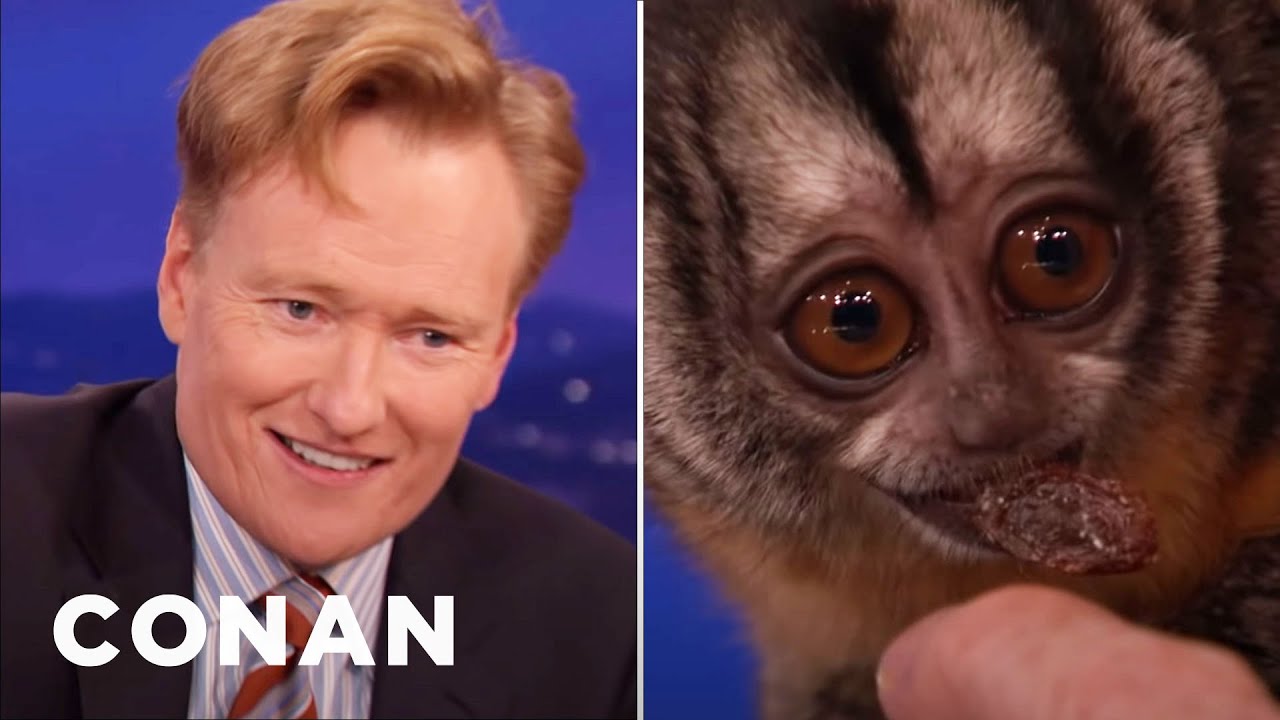 Film backdrop image for Conan Tangles With An Owl Monkey (2014)