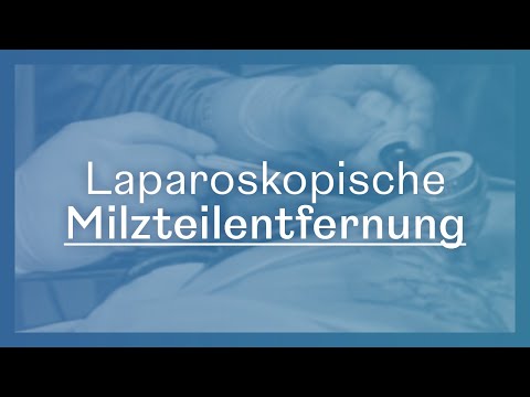 Video: Vergrößerung Der Milz Bei Frettchen