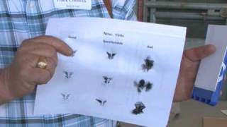 Lamb & Goat Nose Print