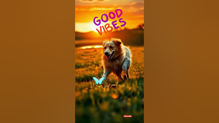 "Pure joy in every step! 🌈🐶" #motivation #shorts