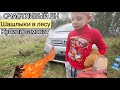 Шашлыки с детьми в лесу Новосибирска 2024 / Купили новый трюковой самокат / Счастливый Ян