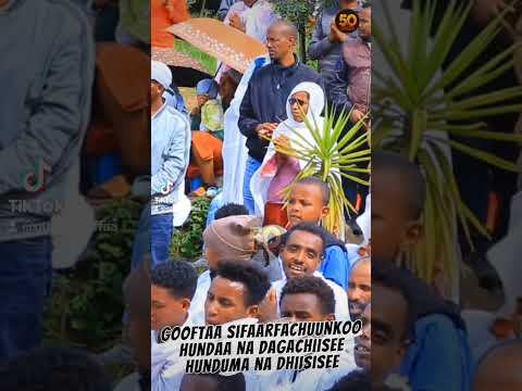 Bari A Lafaa Faaruu Haaraa New