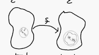 Real Analysis Part V: Uniform continuity