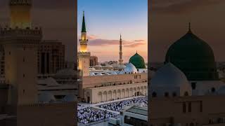#DreamTrackAI The Mosque of the Prophet ❤️ #shorts #usa #chicago
