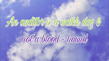 An auditor is a watch dog & not a blood - hound